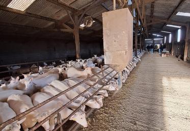 Le Gaec de Chépi, en Vendée, a lancé une réflexion sur l'installation de panneaux photovoltaïques.