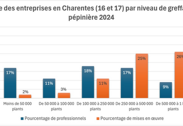 La création de nouveaux plants chute dans les Charentes (-45 %), passant de plus 30 millions à moins de 16,5 millions. La Charente-Maritime (12,4 M) demeure le premier département producteur de la région, mais se rapproche des chiffres de la Gironde (10,7 M). Chiffres : FranceAgriMer / AG des pépiniéristes de la Gironde et du Sud Ouest.