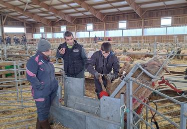 Lors de chaque épreuve, les éleveurs étaient évalués par un professionnel de la filière et un éleveur.