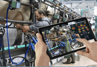 Chaque articulation est analysée et un code couleur s'affiche lors de chaque mouvement.