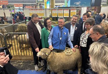 Philippe Berger était présent avec 7 moutons île de France.