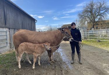 Mathéo Passebon et sa vache Parthenaise Safrane, 3,5 ans, accompagnée de son veau de deux mois. La femelle présente un index synthétique global IVMAT de 104, avec un ISEVR (morpho) de 103.
