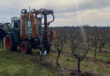 Faut-il mécaniser la prétaille et la taille de son vignoble pour réduire ses coûts ? C'était l'enjeu de la journée organisée par les Cuma des Charentes.