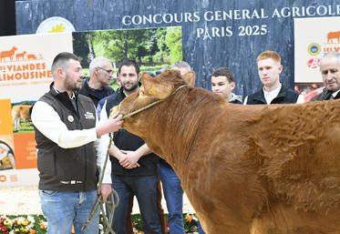 sodrene limousine sia vente aux enchères alexandre humeau