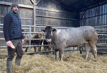 Raphaël Marquet et Titenoisette, génisse bazadaise de trois ans.