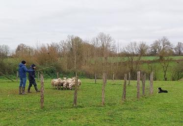 Echelonnée sur une durée totale d'environ cinq mois, la formation permet au chien et au maître de progresser à leur rythme et de devenir un véritable binôme de travail.