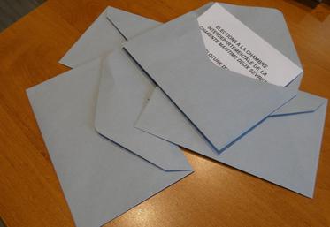 La prédominance du vote papier varie d'un syndicat à l'autre.