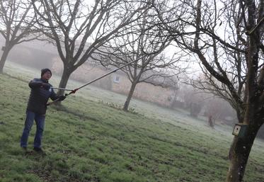 En février, Éric Truflandier taille ses noyers.