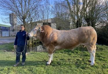 Guillaume Juillet et son taureau Royan, 4 ans, 1250 kg. Le troupeau compte 65 vêlages, une SAU de 130 ha, pour 90 ha de SFP en pâturage tournant.
