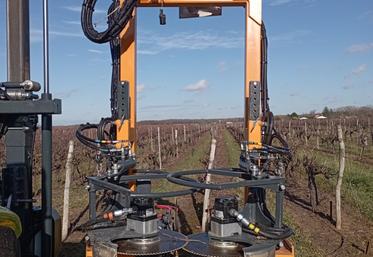 La TRP est pratiquée depuis plus d'une vingtaine d'années dans le Languedoc, mais reste expérimentale dans les Charentes.