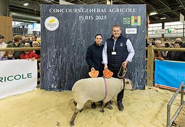 L'EARL Sibel Vendéènnes (Saint-Maurice-la-Clouère) a décroché le prix de championnat jeunes béliers.