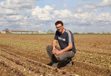Alexandre Usson cultive ses légumes sur 7 hectares dont 8000m2 de serres.