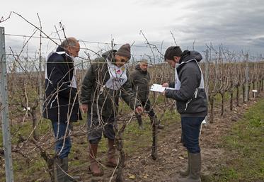 Concours de taille des Jeunes Agriculteurs de Haute Saintonge - 9 mars 2024 à St-Germain-de-Lusignan.