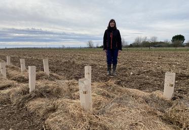 Cécile Marchandier-Devige, viticultrice à Foussignac, a planté des haies sur deux parcelles.