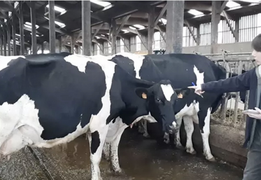 Après l'évaluation du cheptel, un plan d'action personnalisé est construit.