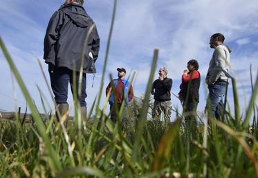 Xavier Barat, ingénieur agronome, a fait le tour des parcelles des éleveurs pour les aider à optimiser leurs pratiques de pâturage tournant dynamique.