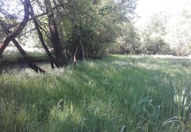 Ces MAEC peuvent concerner des parcelles adjacentes des cours d'eau ou plus éloignées dans le bassin versant.
