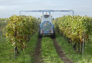 Le réseau Dephy Ecophyto a analysé plusieurs itinéraires techniques pour en évaluer les coûts en temps et en argent.