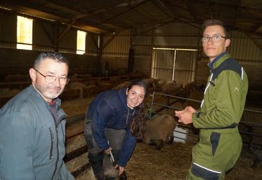 Patrick Soury (à gauche) forme Clarisse Rossignol et Valentin Saulnier, ses apprentis, au marquage des agneaux, dans la bergerie.