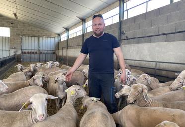 Thomas Baudry, entouré de ses agnelles. L'éleveur estime avoir atteint son objectif de réduction du temps d'astreinte.