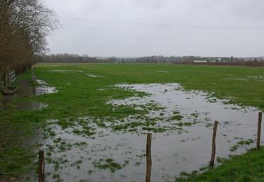 Les prairies ont souffert d'un excès d'eau en 2024.