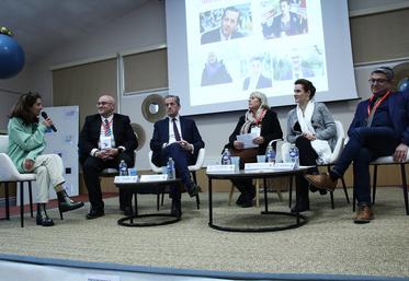 Il a été rappelé que, dans la Vienne, sur les 265 maires, 62 seulement sont des femmes.