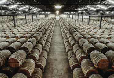 Trop de stock dans les chais de cognac. Les maisons de cognac se voient contraintes de réduire les achats à la viticulture.