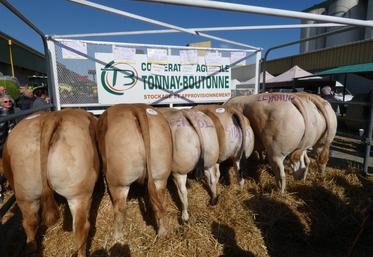 Les grands prix de championnat et le super grand prix distingués lors de cette 24ème édition du concours bovins de Tonnay-Boutonne.