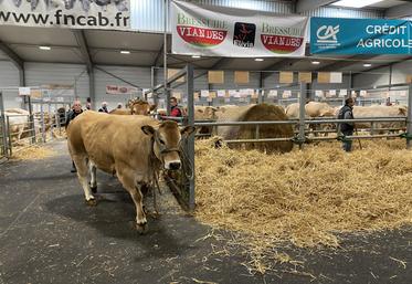 Les plus-values ont été plus importantes en ovins qu'en bovins.