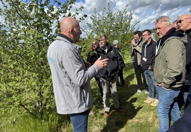 Christian Bonnin a fait visiter sa plantation de noisetiers aux acheteurs de la plateforme Agrilocal.