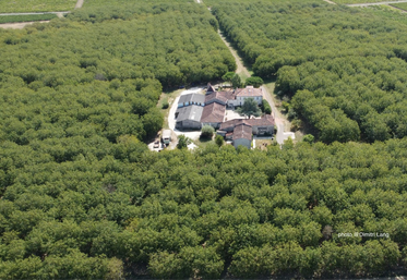 Située à Louzac-Saint-André, la Noyeraie des Borderies cultive 20 hectares de noyers en bio.