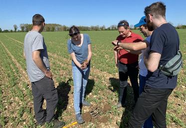 Au centre, Astrid Cassaz fait observer les nodosités présentes dans une motte d'un champ de pois fourrager.