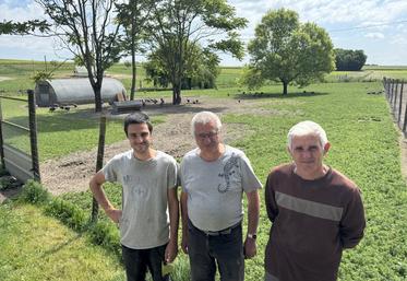 Guillaume, William et Frédéric Normadin attendent 200 personnes sur l'exploitation à Lagarde-sur-Né (lieu-dit Chez Baudry) pour le 1er juin.