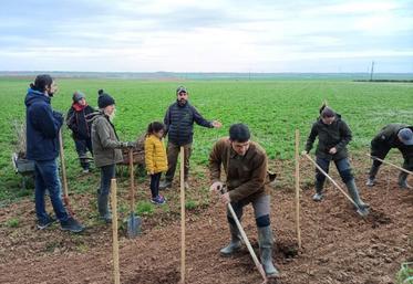Ils étaient une quinzaine de bénévoles ce vendredi matin pour permettre la mise en terre de 867 plants pour un total de 650 mètres linéaires de haies