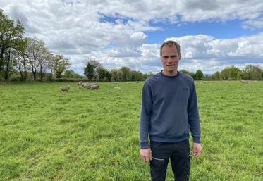 Damien Breton fait fréquemment le tour des paddocks de pâturage, à la recherche d'indices des passages de renard. Il pose ainsi ses pièges aux endroits repérés.