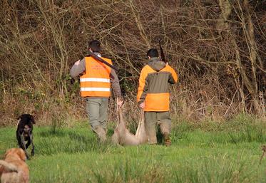Chasse au chevreuil.