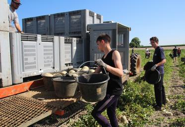 Les producteurs de melons sont de gros employeurs de main-d'œuvre saisonnière.