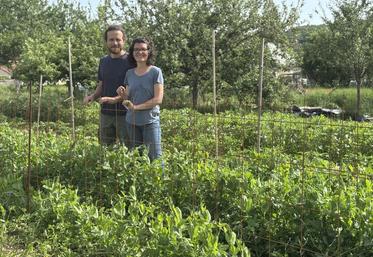Caroline Lelièvre et Rémy Durand exploitent actuellement 3 500 m2 de terres en maraîchage.