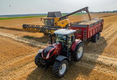 Moisson d'orge le mercredi 11 juin, à Saint-Rémy.