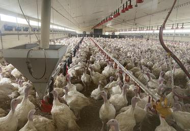 La société Skov a tenu compte des différents vides sanitaires et de la succession de production pour estimer au plus près les besoins en énergie du bâtiment de 1 340 m2.