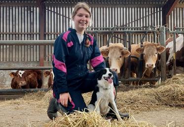 Manon Faucher s'est installée avec un petit troupeau de Limousines à Chantecorps. Un retour "logique" à la ferme familiale, après deux années d'études en pharmacie.