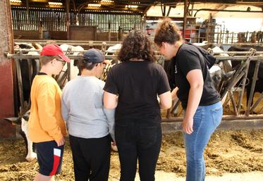 Les jeunes de l'IME Henri Wallon, à Châtellerault, sont entrés dans la stabulation des vaches laitières.