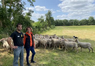 Accueillir le concours est naturel pour Mickaël et Sophie Corbin, éleveurs à Germond-Rouvre : "En agriculture un projet en amène un autre. Ces moments conviviaux, partagés avec le public, sont importants à vivre".