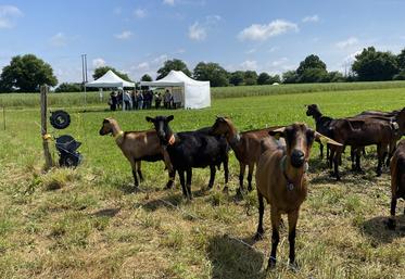 La journée Cap'Vert a exposé les travaux réalisés à Patuchev, autour de sept ateliers consacrés à la gestion des prairies, du pâturage et de l'alimentation, aux bâtiments, à la reproduction et à l'élevage des chevrettes.