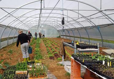 Parmi les actions de VMS, il y a notamment un jardin solidaire.