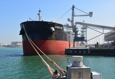 Parmi les marchés vers lesquels peu d'expéditions ont eu lieu depuis La Pallice, l'Asie et plus particulièrement la Chine, qui avait pu être très présente sur certaines campagnes antérieures.