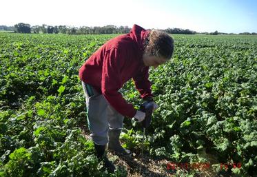 Avant d'apporter du fertilisant, il est primordial d'étudier son sol.
