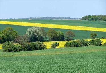 La hausse des prix des terres et prés libres est plus marquée dans les zones d'élevage bovin, dans un contexte de prix à la production favorables.