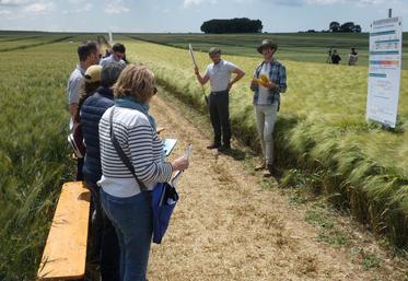 Parmi les ateliers, celui sur l'adaptation des techniques de culture, présenté par Clément Gras, où l'accent était mis sur les risques d'un semis trop dense.