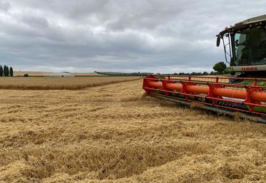 Des rendements plutôt bons, mais comme souvent, derrière la moyenne se cache une forte hétérogénéité de résultats.
